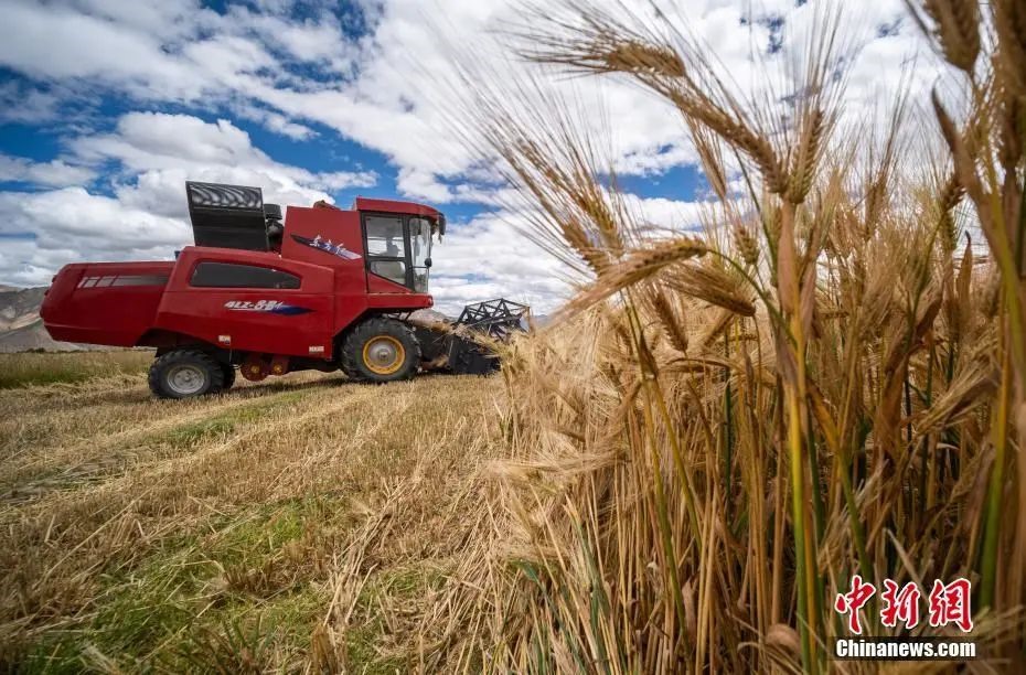 點擊進(jìn)入下一頁