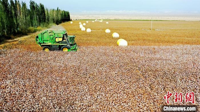 近年來，當(dāng)?shù)孛藁ǚN植戶的生產(chǎn)生活發(fā)生了翻天覆地的變化?！《?攝