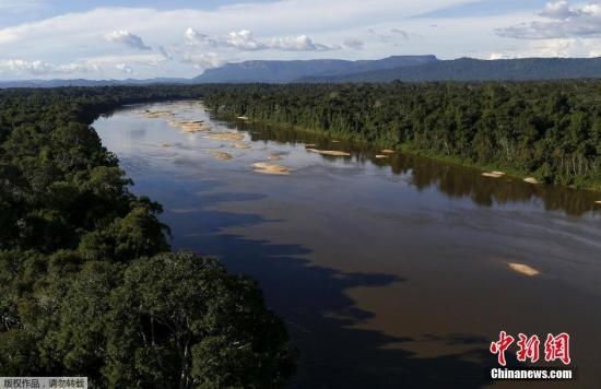 資料圖：亞馬孫雨林內(nèi)的河流。