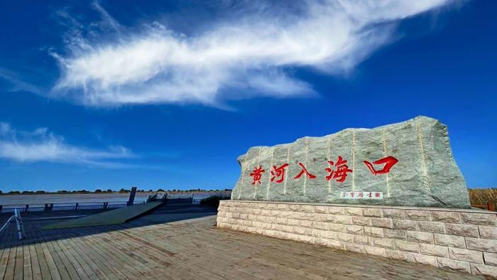 △黃河入?？谖挥谏綎|東營市墾利區(qū)。(總臺央視記者彭漢明拍攝)