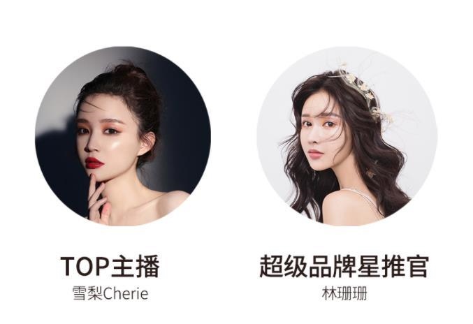 宸帆電商官網(wǎng)截圖。