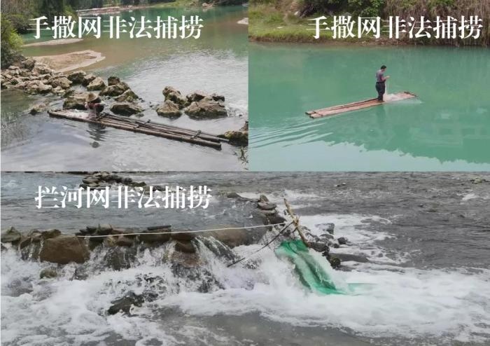 2021年9—10月，前期暗查發(fā)現(xiàn)，保護(hù)區(qū)核心區(qū)內(nèi)非法捕撈行為十分猖獗