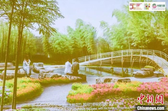 圖為活動現(xiàn)場通過視頻展示“中國竹園”設計方案。　荷蘭駐華大使館供圖