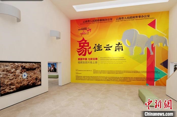 圖為“象”往云南——美麗中國 七彩云南視頻及圖片線上展截圖?！『h航 攝