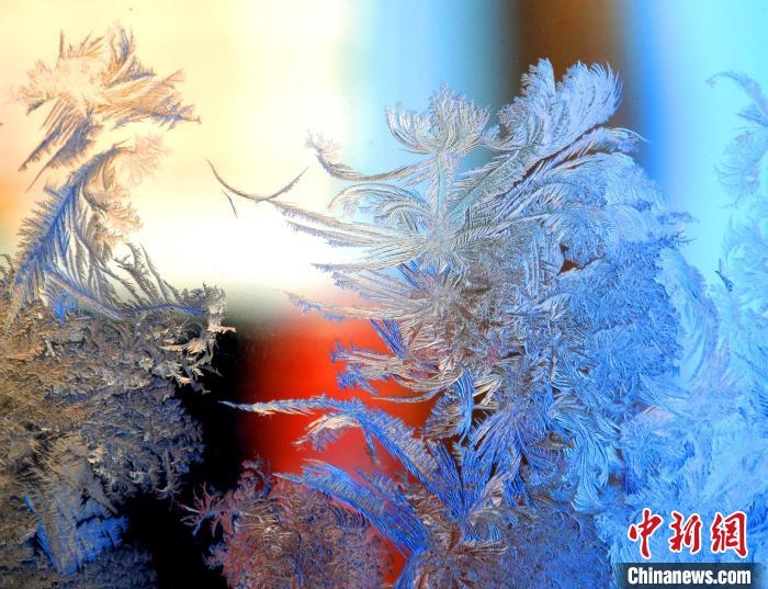 冰窗花千姿百態(tài)?！O書程 攝