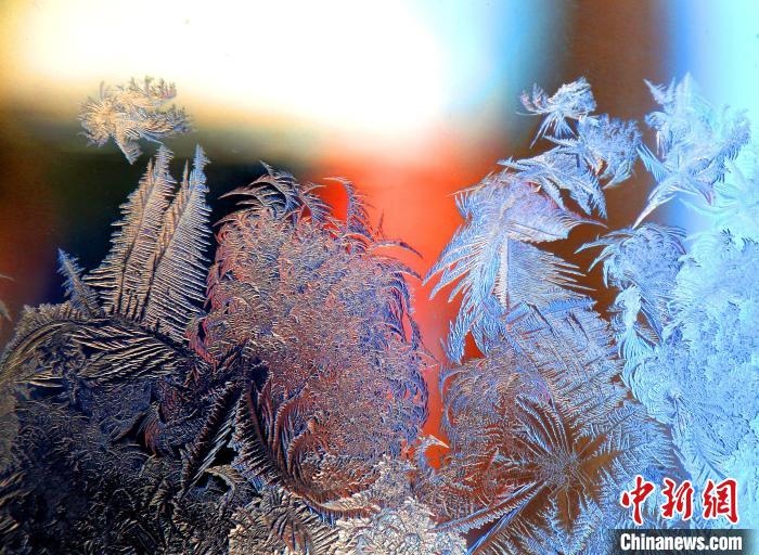 惟妙惟肖的冰窗花，似一幅風景畫?！O書程 攝