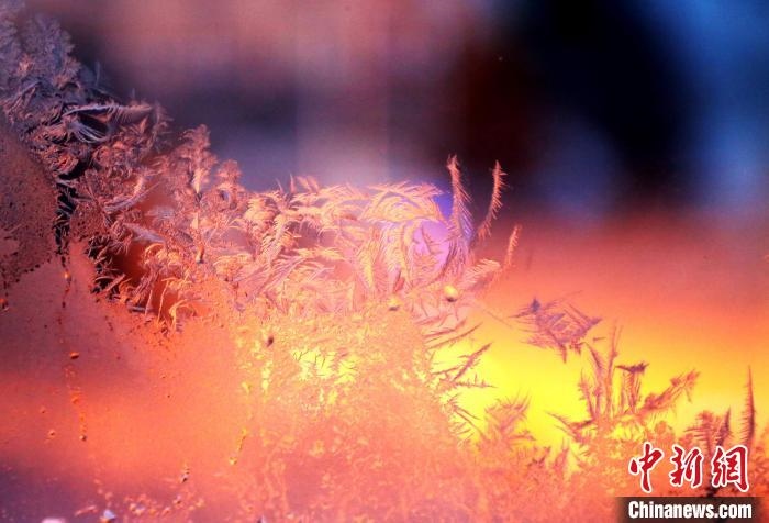 迎著光亮，冰窗花絢麗多姿?！O書程 攝