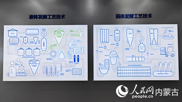 科拓生物工藝技術(shù)展示。人民網(wǎng)記者 張雪冬攝
