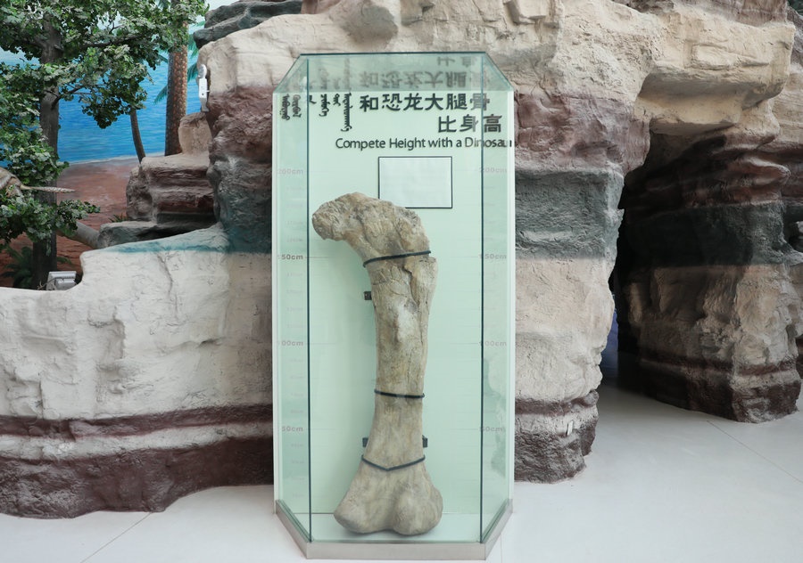 微信圖片_20231209000429.jpg