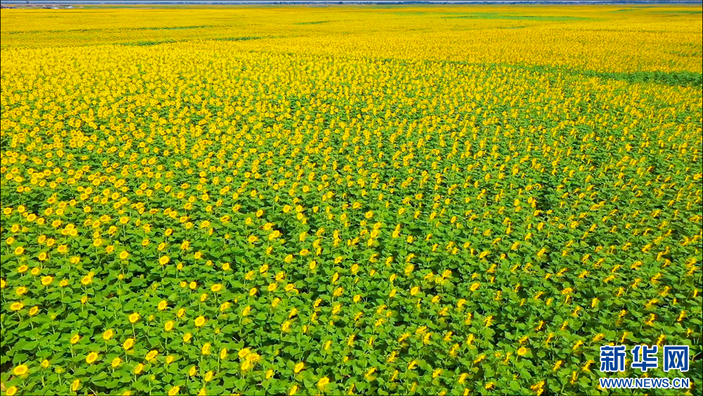 1745806269132869.jpg _DSC3228.jpg