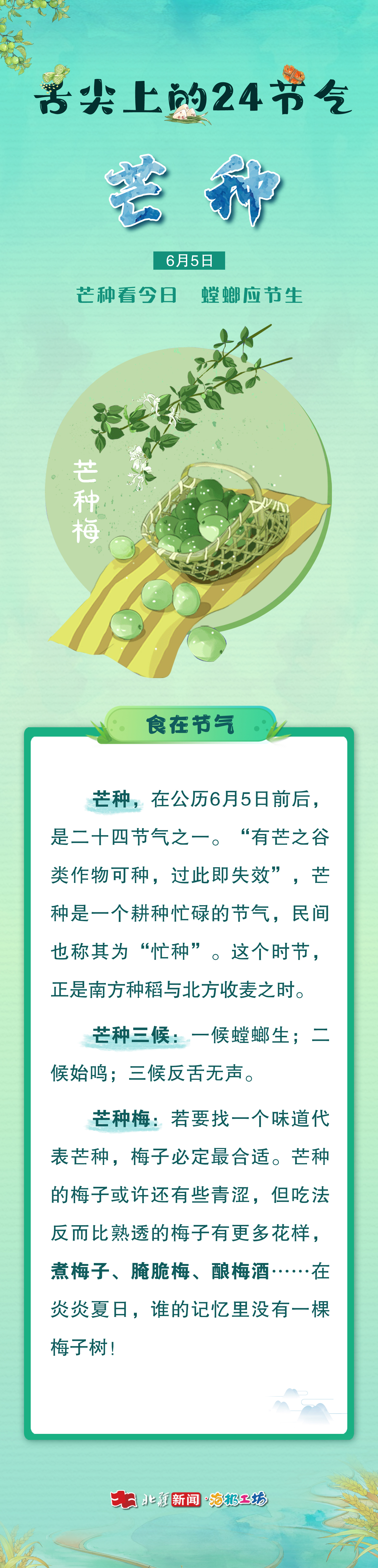 1749108661252940.jpg 芒種111.jpg