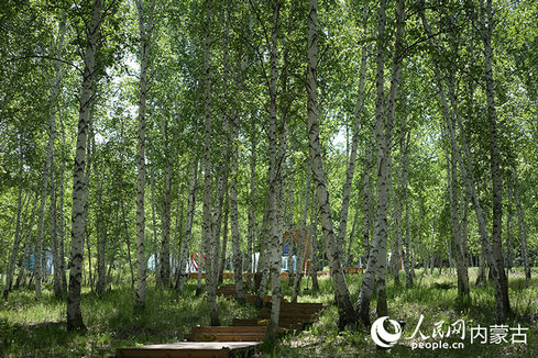 1752799148115768.jpg 臨海6.jpg