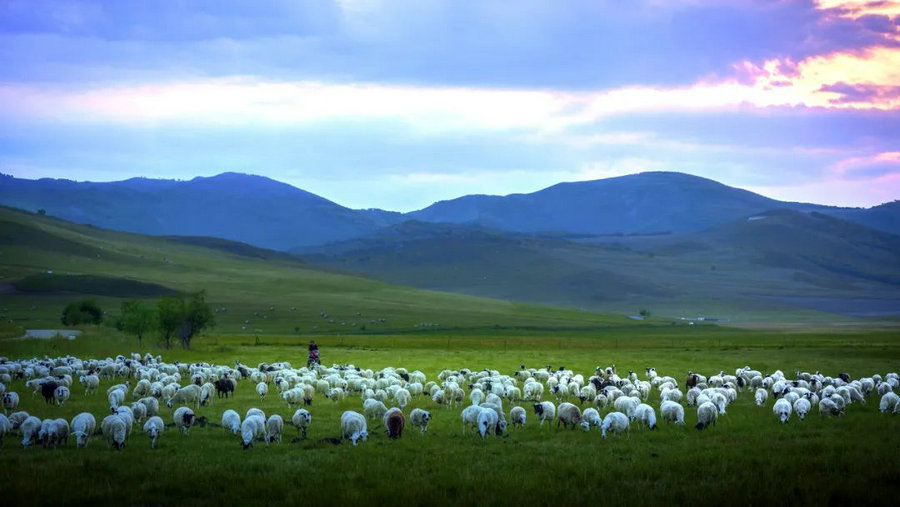 1755829371807620.jpg 640 (6).jpg