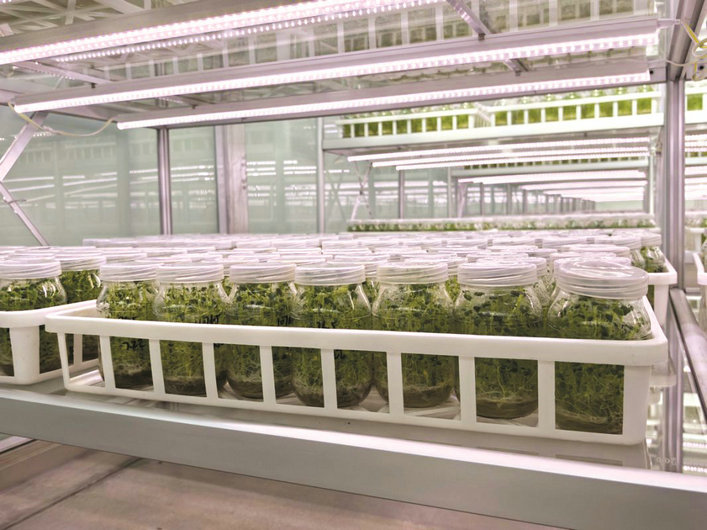 1760669747108026.jpg 1760669747108026.jpg