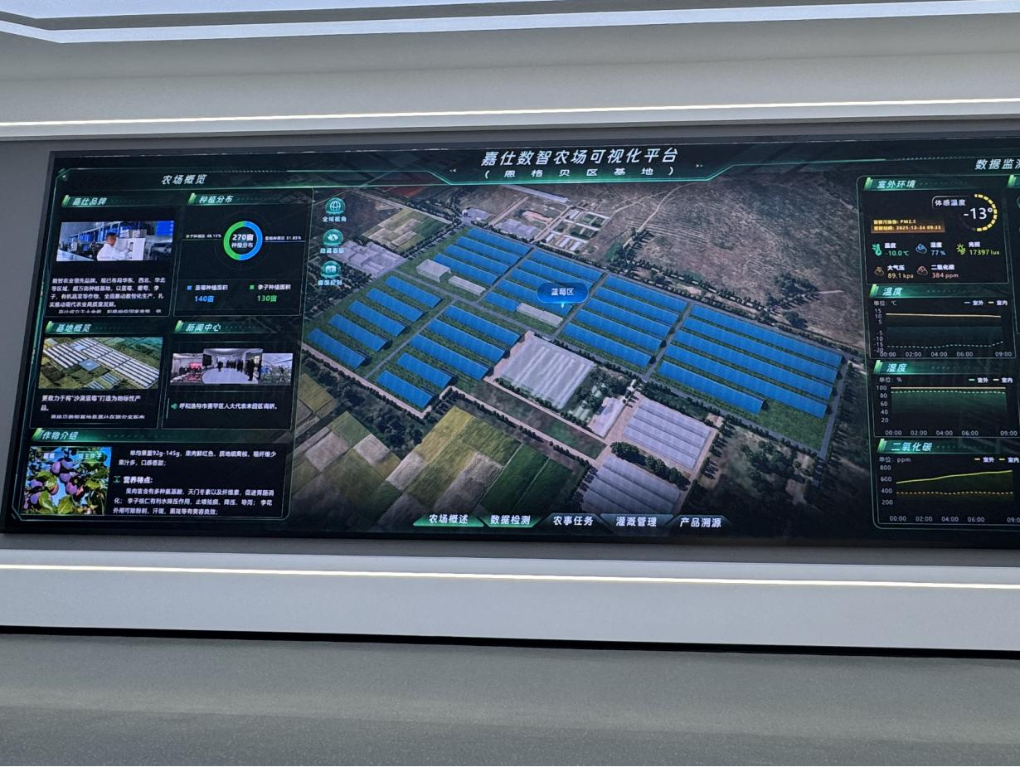 20260112嘉仕農(nóng)業(yè)藍(lán)莓栽培科技示范基地數(shù)智農(nóng)業(yè)可視化平臺新華網(wǎng).png