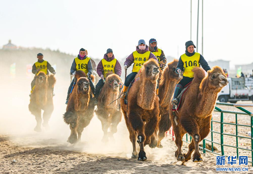 3月7日，賽駝手在6000米成年駱駝場(chǎng)地速度賽比賽中。.jpg