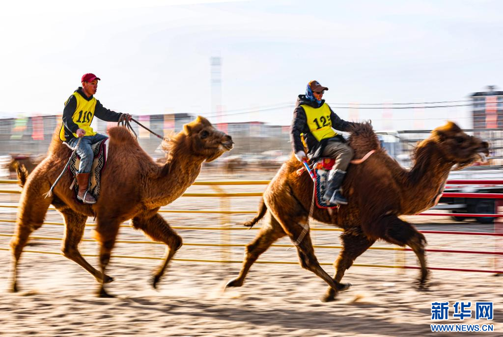 3月7日，賽駝手在6000米成年駱駝場(chǎng)地速度賽比賽中.jpg