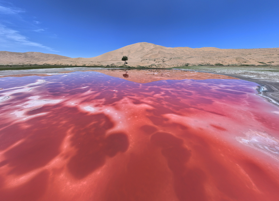 張樂(lè)元 (1).jpg