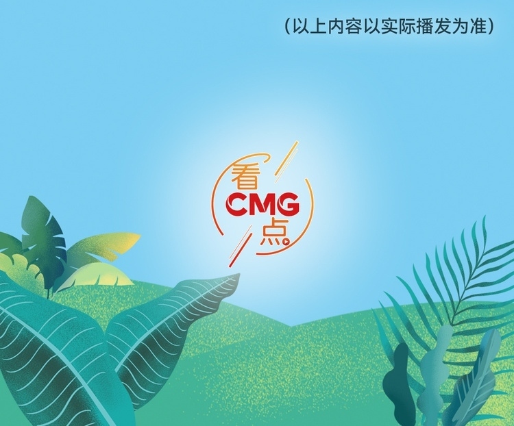 總臺周看點(diǎn)，來了！