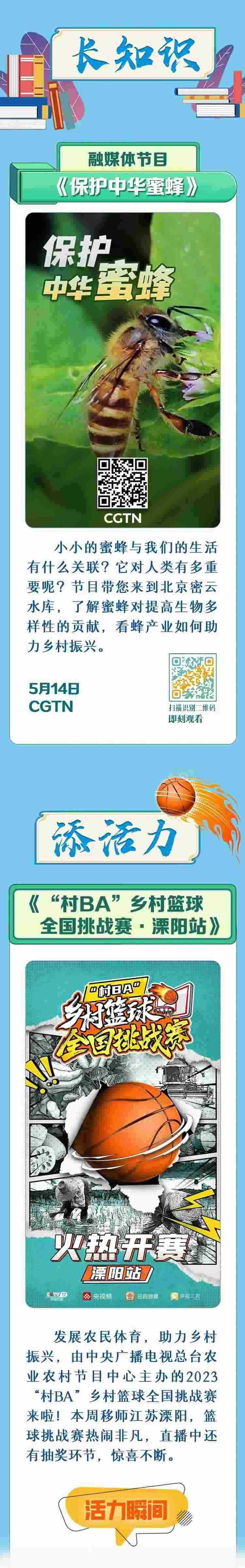 總臺周看點(diǎn)，來了！