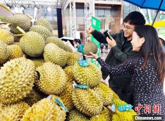 圖為廣西南寧市民在選購榴蓮。黃艷梅 攝