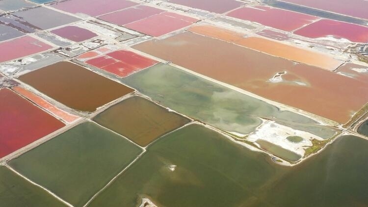 鑒往知來，跟著總書記學(xué)歷史丨走進(jìn)一座博物館，尋根五千年中華文明