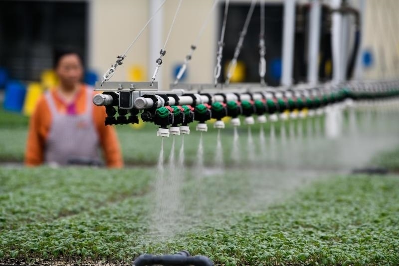 工人在貴陽市開陽縣楠木渡蔬菜良種繁育中心查看自動噴灌系統(tǒng)給辣椒苗澆水情況（2023年5月24日攝）。新華社記者 楊文斌 攝
