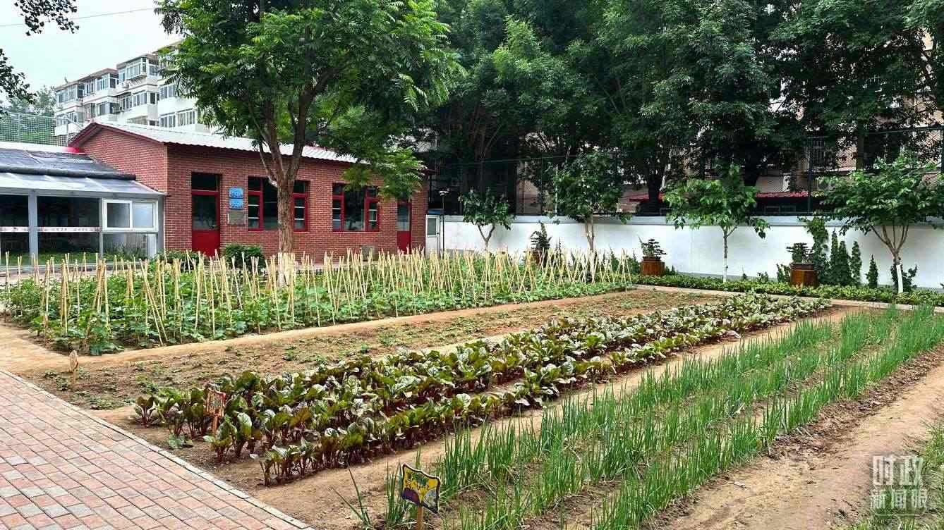 △學(xué)生農(nóng)場(chǎng)。（總臺(tái)央視記者趙化拍攝）