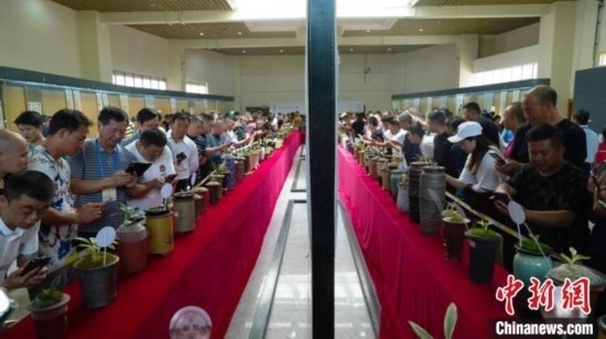 圖為活動(dòng)現(xiàn)場(chǎng)。 云南省委臺(tái)辦供圖