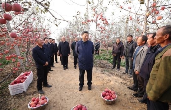 2022年10月26日，習(xí)近平總書記在陜西省延安市安塞區(qū)高橋鎮(zhèn)南溝村蘋果園同老鄉(xiāng)們親切交流。