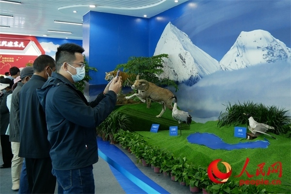 6月17日，觀眾正在觀展。人民網(wǎng) 韋衍行攝