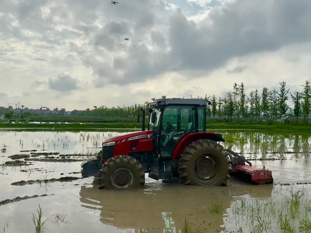 浙江省金華市東陽市城東街道寀盧村的一臺無人駕駛耕地機。靜玄 攝