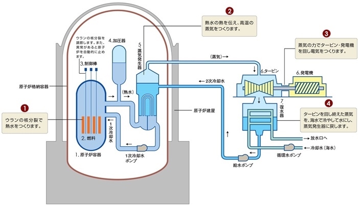 核電站運(yùn)作原理圖。通常的核電站排水未直接接觸核燃料。（圖片來(lái)源：日本北海道電力株式會(huì)社網(wǎng)站）