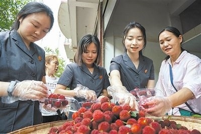志愿者和村民一起將摘下的楊梅裝進(jìn)食品盒里。