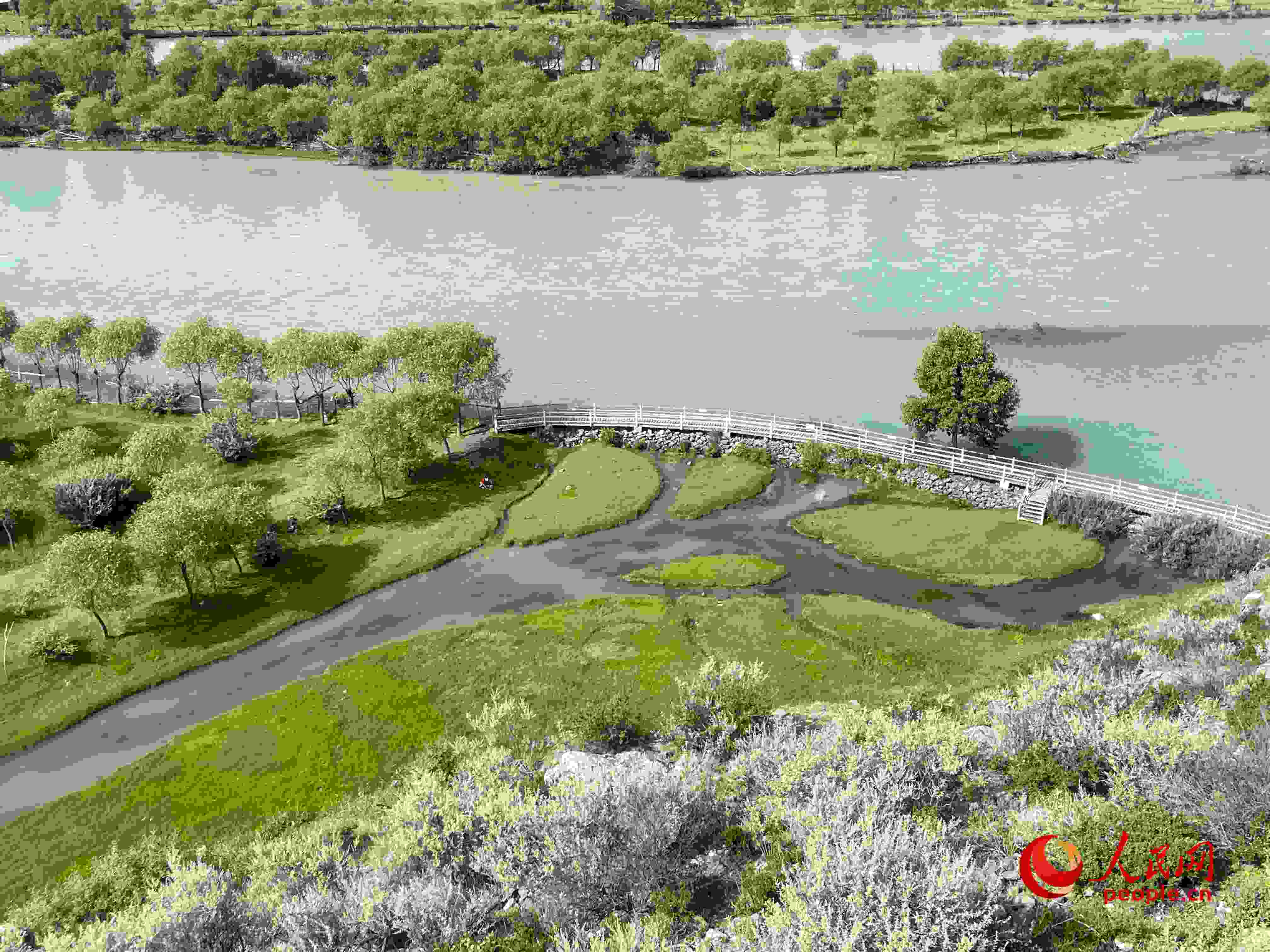 夏日的雅尼國家濕地公園生機(jī)盎然，如詩如畫。人民網(wǎng) 周靜圓攝