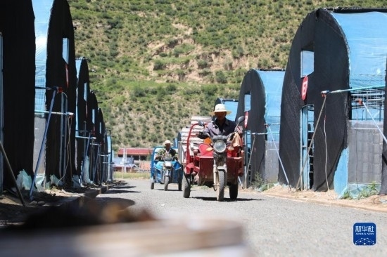 7月29日，農(nóng)戶在卓尼縣納浪鎮(zhèn)納浪村黑木耳種植基地勞作。