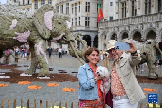 8月11日，觀眾在比利時布魯塞爾“鮮花時光”展覽上拍照。新華社記者 趙丁喆攝