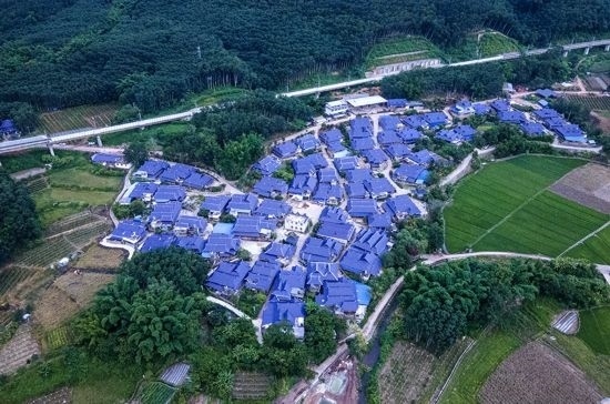 磨憨鎮(zhèn)曼莊村大龍哈小組現(xiàn)代化邊境幸福村新貌。人民網(wǎng)記者 符皓攝