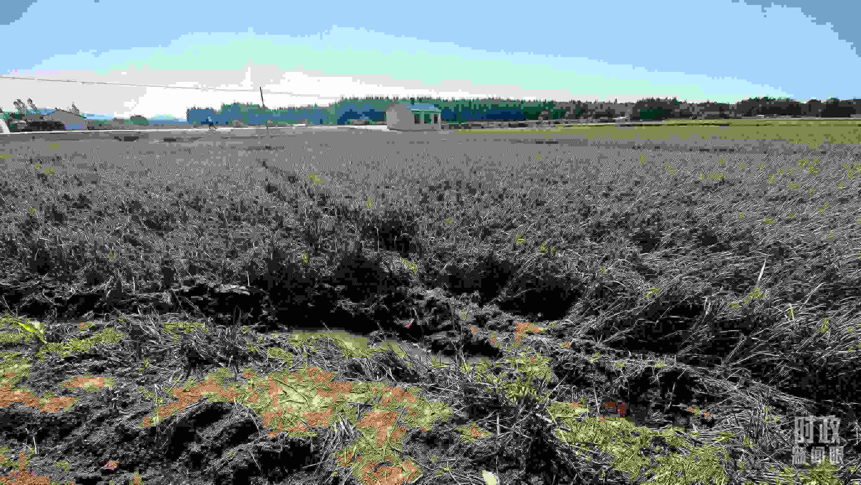 △圖為龍王廟村在洪災(zāi)中受損的農(nóng)田。（總臺央視記者史偉拍攝）