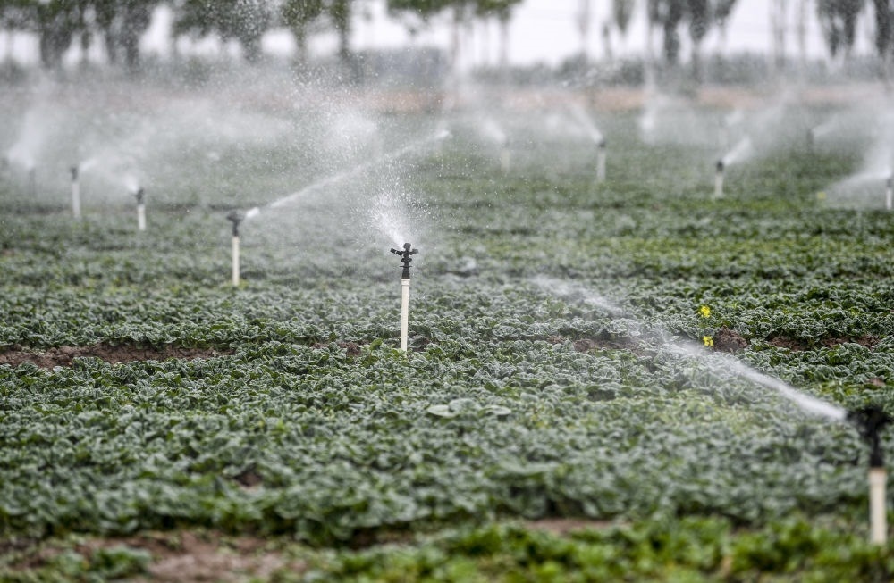 2023年5月25日，在寧夏銀川市永寧縣望洪鎮(zhèn)宋澄村冷涼蔬菜種植基地，小型噴灌節(jié)水設(shè)備在進行噴灌作業(yè)。新華社記者 馮開華 攝