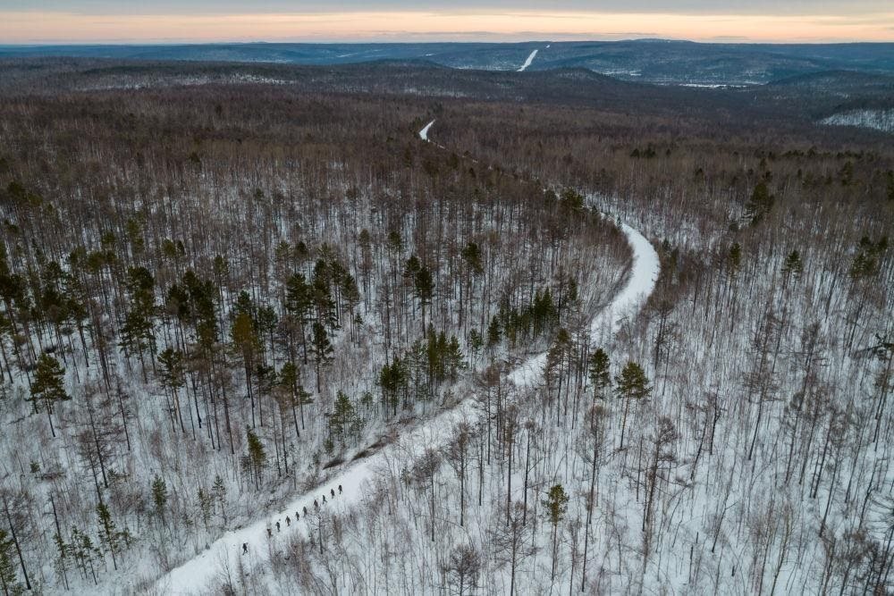 △2023年1月，漠河林場(chǎng)數(shù)十名職工自發(fā)組成的森林撫育隊(duì)伍，在人跡罕至的山林中作業(yè)。