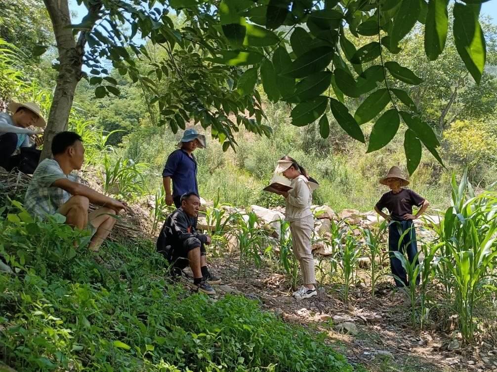 2023年7月18日，兩家村民發(fā)生土地方面的糾紛，李江女（右二）在記錄情況。受訪者供圖
