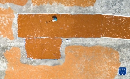 9月16日，農(nóng)民在貴州省安順市西秀區(qū)大西橋鎮(zhèn)吉昌村晾曬高粱（無人機(jī)照片）。