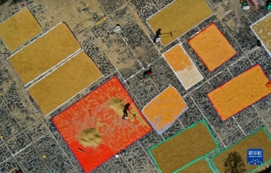 9月16日，貴州省黔東南苗族侗族自治州丹寨縣南皋鄉(xiāng)石橋村村民在晾曬農(nóng)作物（無人機(jī)照片）。