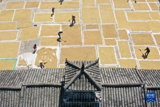 9月16日，村民在貴州省黔東南苗族侗族自治州從江縣剛邊壯族鄉(xiāng)三聯(lián)村晾曬稻谷（無人機(jī)照片）。