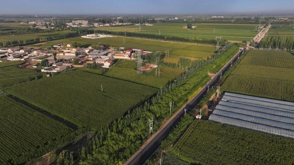 東興村周邊建起防護林網(wǎng)（無人機照片，2023年9月12日攝）。新華社記者李云平 攝