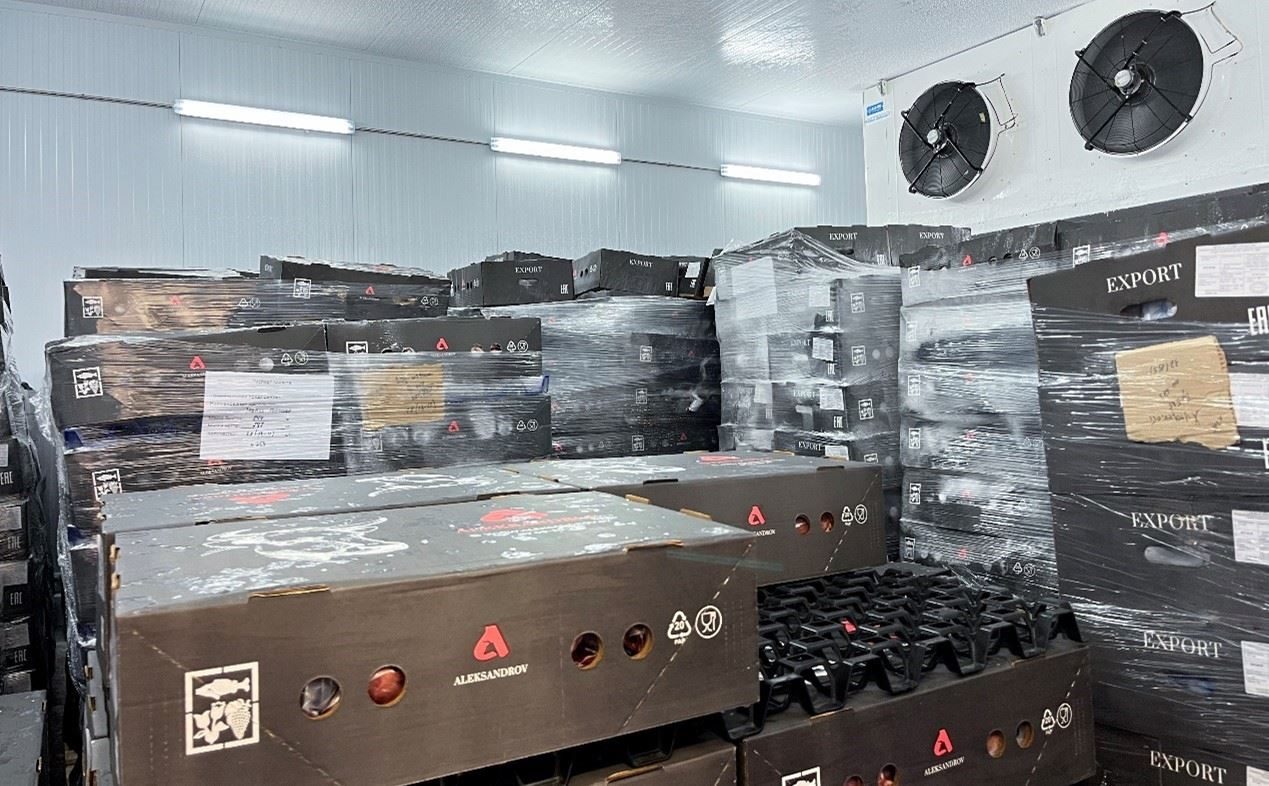 恒溫冷庫中，包裝好的牛肉等待發(fā)往中國。人民網(wǎng)記者 朱虹攝