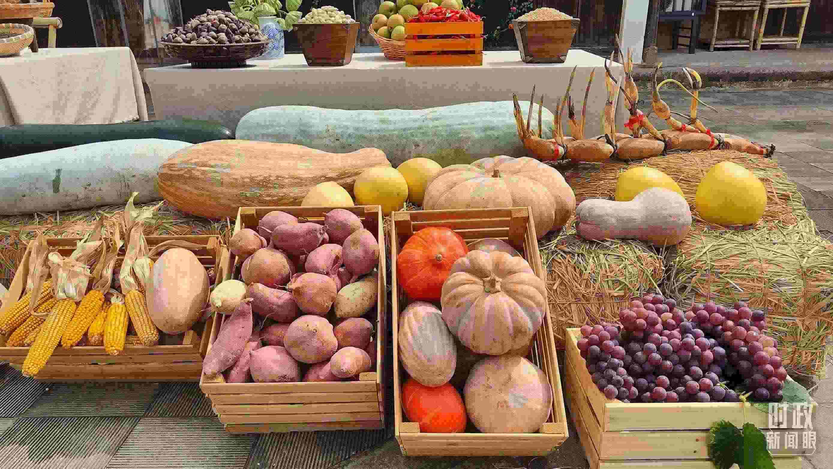 △村廣場“共富市集”，擺放著種類豐富的特色農(nóng)產(chǎn)品。（總臺央視記者楊立峰拍攝）