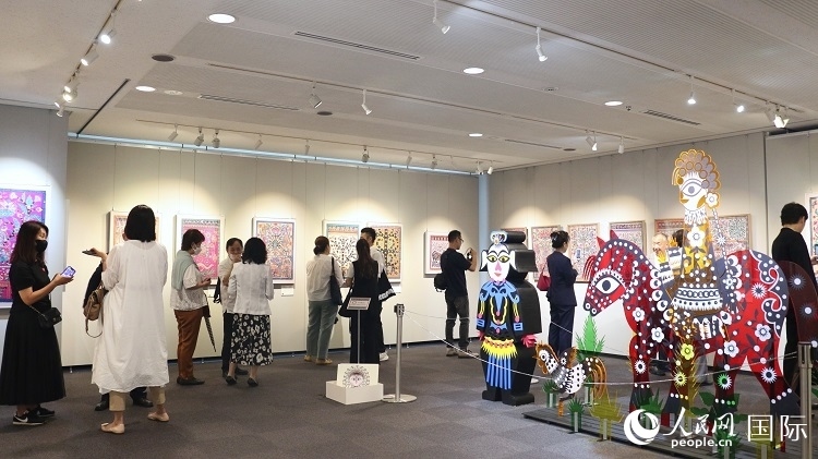 到場民眾觀看展覽。人民網(wǎng) 許可攝