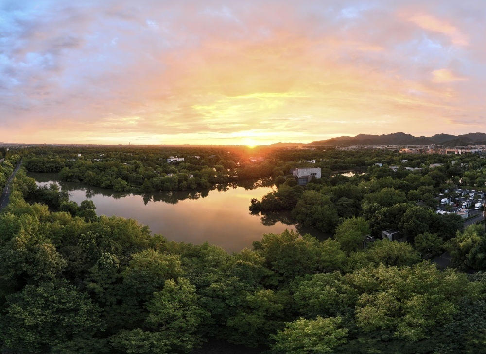 杭州西溪濕地日出景觀。